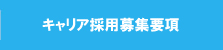 キャリア採用募集要項